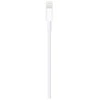 Apple Lightning ir USB kabelis (1 m)