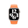 Apple 41mm Bright Oranžinis Sport Band