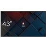 Avtek DS2 43 colių informacijos monitorius