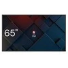 Avtek ds2 65 colių informacijos monitorius