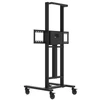 Avtek Statyw elektrinis Avtek TS Electric Stand Light