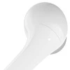 Belkin SOUNDFORM Flow Ausinės Belaidės į ausis įkišamos Calls/Music USB Type-C Bluetooth Baltas