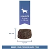 BEMO Cold Pressed Mono upės žuvis - sausa šunų maista - 1kg