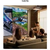 Projektorius BenQ TH575i