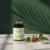Biowen Maisto papildas Ashwagandha 400 mg 120 kapsulių