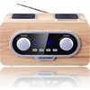 Blaupunkt PP5.2CR