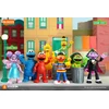 BLOKEES SESAME STREET FIGURES preCOOL S2 - DIDYSIS PAUKŠTIS
