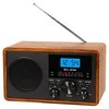 Nešiojamasis analoginis radijas Blow AM/FM RA9 V.2"