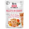 BRIT Care fillets in gravy box – šlapias pašaras katei – 12x85g