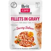 BRIT Care fillets in gravy box – šlapias pašaras katei – 12x85g