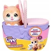 Cobi Maskotka interaktywna little live pets - kocia mama w koszyku
