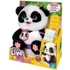 Maskotka Interaktyvus talismanas „Little Live Pets Panda“
