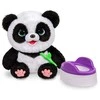 Maskotka Interaktyvus talismanas „Little Live Pets Panda“