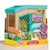Moose Toys LITTLE LIVE PETS Mama Surprise Jūrų kiaulytė