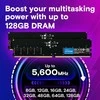 RAM Crucial 32 GB DDR5-5600 UDIMM CL46 (16 GB) dėklas