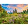 Castorland Dėlionė 2000 vnt. - Pievų žydėjimas