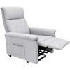 Demarta Virginio CALIFORNIA Pilkas Geriatric Standing Chair