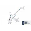 Laikiklis Assmann Electronic DIGITUS Dual Monitorius Mount 2x35inch 2x10kg Mechanical Spring VESA 75x75 100x100 Baltas