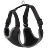 Dingo DINGO diržų dydis M | a:36-51cm,b:39-51cm juoda