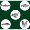 Kačių Maistas - EDEN Original Cousine Sausas 10 kg
