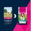 Šunų Maistas - EUKANUBA Suaugusiųjų Mažų/vidutinių Veislių Lašiša ir Miežiai 12kg