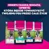 EUKANUBA Premium nutrition mature Small breed vištiena – sausas Maistas šunims – 3kg