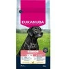 Sausas Maistas šunims Eukanuba Senior Large Breed vištiena, 113098, 15 kg