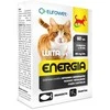 EUROWET Wita-Vet Kot Energia Junior + Adult 60tabs