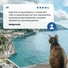 Sausas Kačių Maistas - Farmina N&D Ocean Cat - Menkė, Krevetės, Moliūgas, Kantalupė