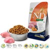 Farmina n&amp;d pumpkin cat ėriena&amp;blueberry neutered - sausas maistas katei - 1,5kg
