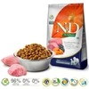 Farmina n&d pumpkin ėriena & blueberry adult medium & maxi - sausas maistas šuniui - 12kg