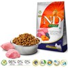 Farmina n&amp;d pumpkin ėriena &amp; blueberry adult mini - sausas maistas šuniui - 2,5kg