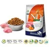 Farmina Pet Food ėriena &amp; BLUEBERRY ADULT MEDIUM &amp; MAXI
