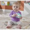Fisher-Price Fisher-Price HKD72 grzechotka
