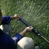 Fiskars X-Series švytuoklinis purkštuvas L
