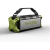 W-KING D8 wireless Bluetooth garsiakalbis