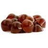 Contipro Geloren small dog suplement šuniui - 180g