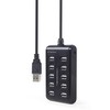 GEMBIRD 10 prievadų USB 2.0 HUB juodas