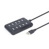 GEMBIRD 10 prievadų USB 2.0 HUB juodas