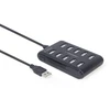 GEMBIRD 10 prievadų USB 2.0 HUB juodas