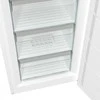 Gorenje Šaldiklis fn619eaw6