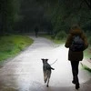 Hama FL100, 100lm, 50m