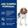 Hill's canine r/d 4kg