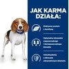 Hill's canine r/d 4kg
