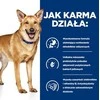 HILL'S PD Canine Digestive Care i/d - Šlapias šunų maistas - 360 g