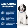 HILL'S PD Canine Urinary Care C/D - šlapias šunų maistas - 370g