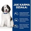 HILL'S PD Canine Urinary Care C/D - šlapias šunų maistas - 370g
