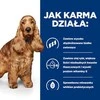 Šunų Maistas - Hill's Prescription Diet Food Sensitivities Z/d 10 kg