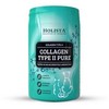 HOLISTA Collagen Type II pure – papildai šunims ir katėms – 200g