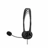 Hewlett Packard (HP) Ausinės su mikrofonu hp stereo usb ausinės g2 su laidu juoda 428h5aa